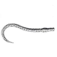 Приманка ZUB-WORM 100мм(4")-5шт, (цвет 501) серый с блестками