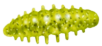 Приманка ZUB NOA LARVA  30мм(1,2") -10шт, (цвет 310) желтый с блестками