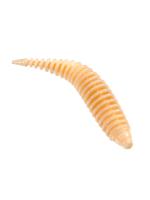 Приманка ZUB-MAGGOT SLIM 22мм(0,9")-20шт, (цвет 303) телесный