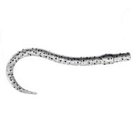 Приманка ZUB-WORM 100мм(4")-5шт, (цвет 501) серый с блестками