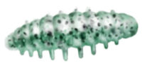 Приманка ZUB NOA LARVA  30мм(1,2") -10шт, (цвет 505) зеленый с блестками