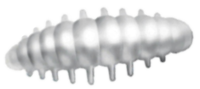 Приманка ZUB NOA LARVA  30мм(1,2") -10шт, (цвет 801) белый