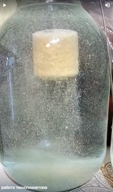 Технопланктон От Сергея.png