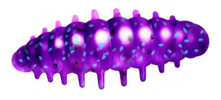 Приманка ZUB Noa Larva  30мм(1,2") -10шт, (цвет 610) фиолетовый с блестками