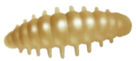 Приманка ZUB NOA LARVA  40мм(1,6") -6шт, (цвет 303) телесный