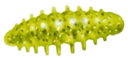 Приманка ZUB NOA LARVA  40мм(1,6") -6шт, (цвет 310) желтый с блестками