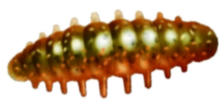 Приманка ZUB NOA LARVA  30мм(1,2") -10шт, (цвет 911) машинное масло с блестками