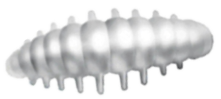 Приманка ZUB NOA LARVA  30мм(1,2") -10шт, (цвет 801) белый