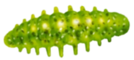 Приманка ZUB NOA LARVA  40мм(1,6") -6шт, (цвет 351) шартрез с блестками