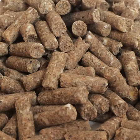 Прикормка "DUNAEV iCE-КЛАССИКА" 0.75кг  гранулы Анис Прикормка "DUNAEV iCE-КЛАССИКА" 0.75кг  гранулы Анис