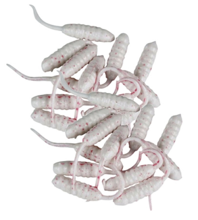 Опарыш хвостатый  ZUB MAGGOT белый