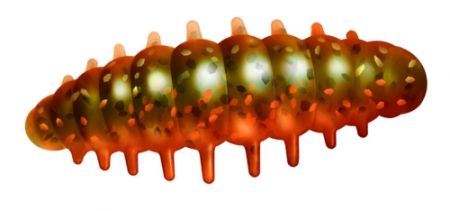 Приманка ZUB Noa Larva  30мм(1,2") -10шт, (цвет 503) коричневый с блестками