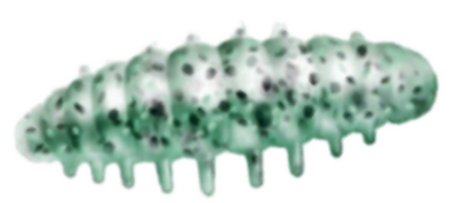Приманка ZUB NOA LARVA  30мм(1,2") -10шт, (цвет 505) зеленый с блестками