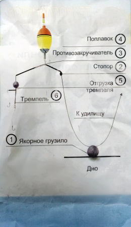 Монтаж для ловли толстолобика